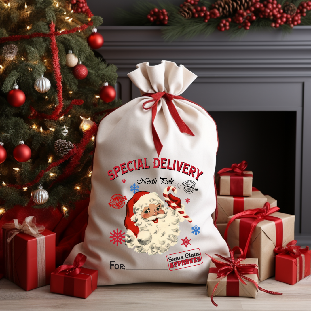 Special Delivery Santa
