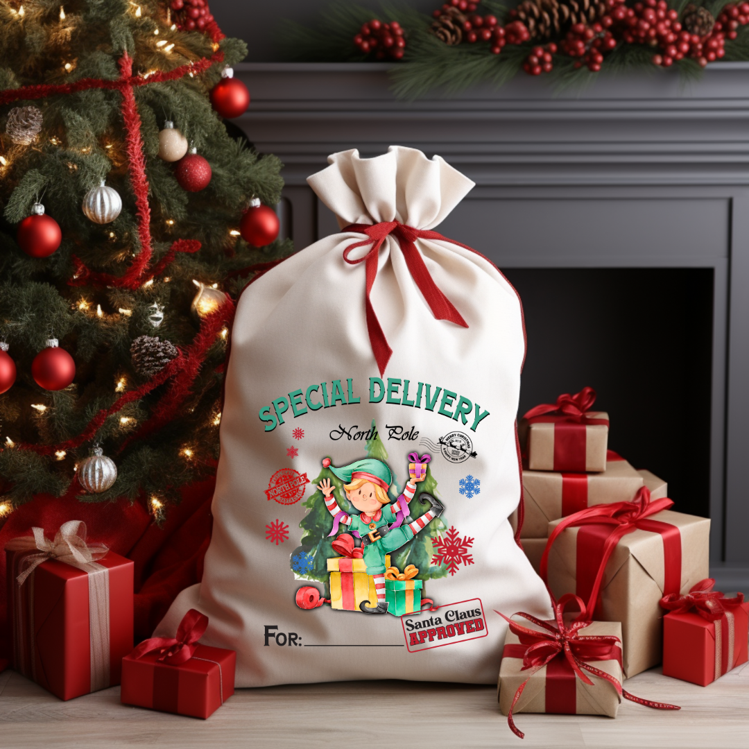 Special Delivery Elf