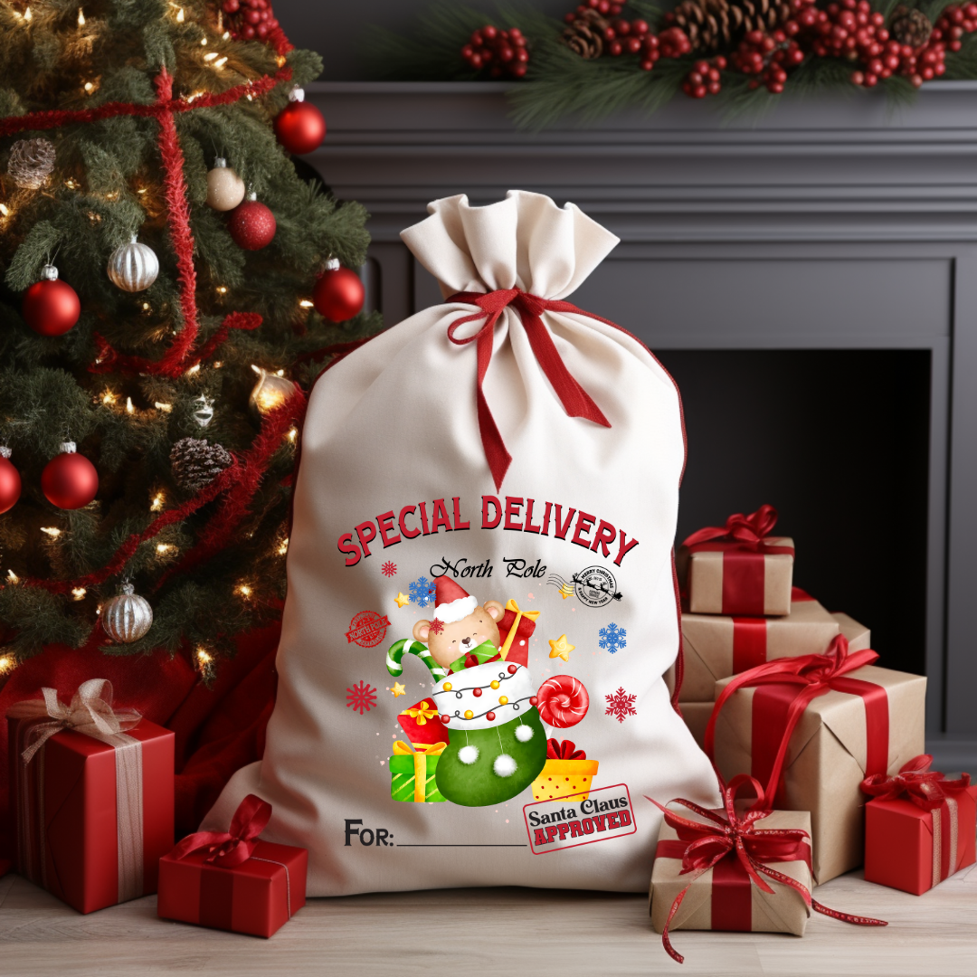 Special Delivery Bear Stocking
