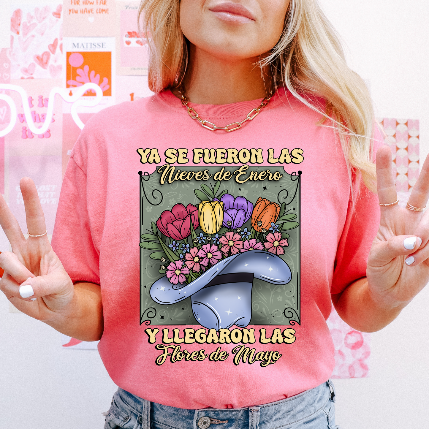 Ya se fueron las Nieves de Enero