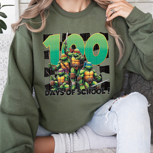 100 Days Turtles