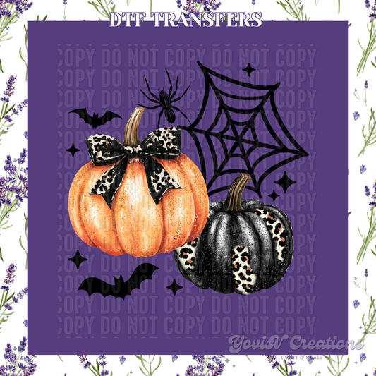 Pumpkins & Spider Web