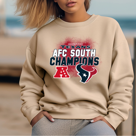 Texans AFC South Champions